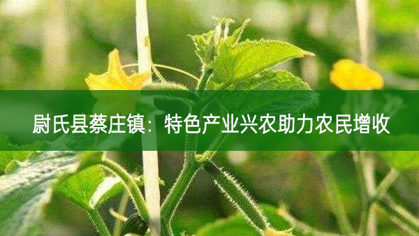 尉氏縣蔡莊鎮:特色產業興農助力農民增收