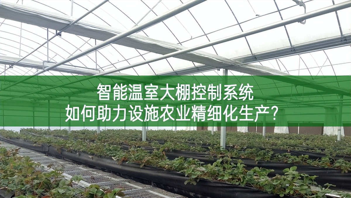 智能溫室大棚控制系統如何助力設施農業精細化生產?