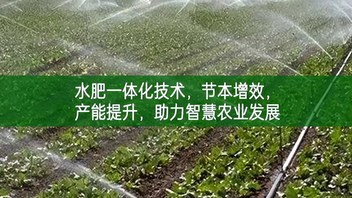 水肥一體化技術,節本增效,產能提升,助力智慧農業發展