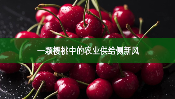 一顆櫻桃中的農(nóng)業(yè)供給側(cè)新風(fēng)
