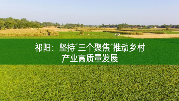 祁陽:堅持“三個聚焦”推動鄉村產業高質量發展