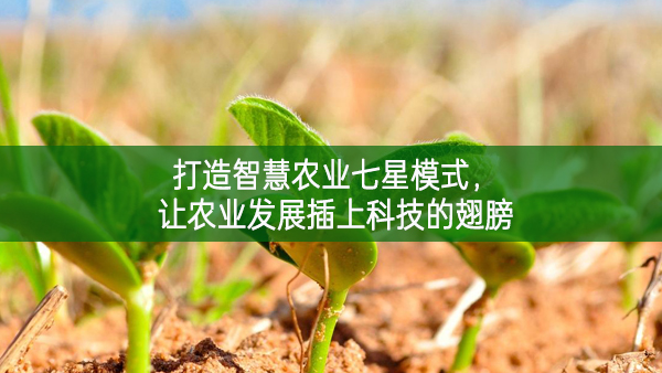 打造智慧農(nóng)業(yè)七星模式,讓農(nóng)業(yè)發(fā)展插上科技的翅膀