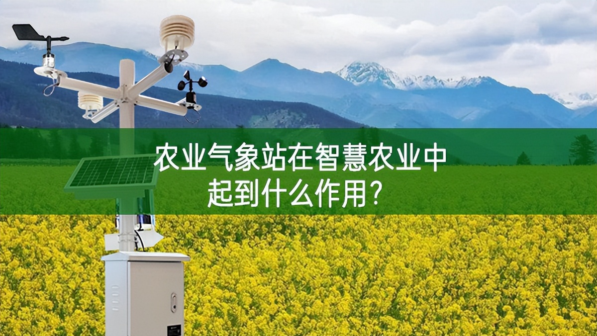 農業氣象站在智慧農業中起到什么作用？