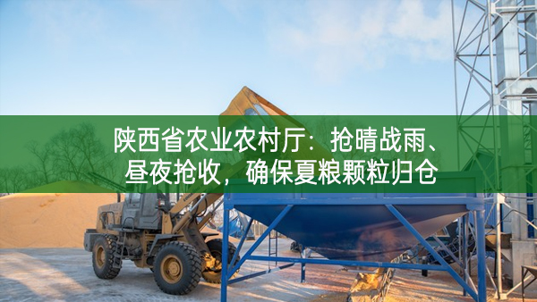 陜西省農業農村廳：搶晴戰雨、晝夜搶收，確保夏糧顆粒歸倉