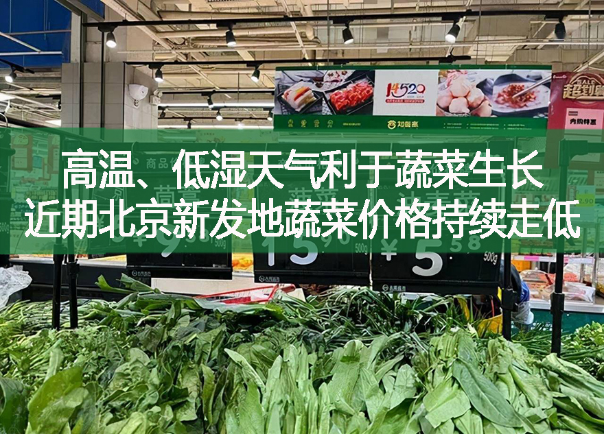 高溫、低濕天氣利于蔬菜生長(zhǎng)，近期北京新發(fā)地蔬菜價(jià)格持續(xù)走低