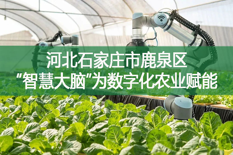 河北石家莊市鹿泉區“智慧大腦”為數字化農業賦能