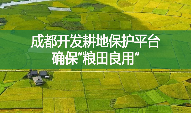 成都開發(fā)耕地保護平臺 確保“糧田良用”