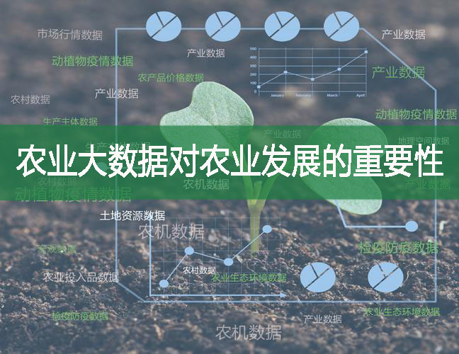 農業大數據對農業發展的重要性