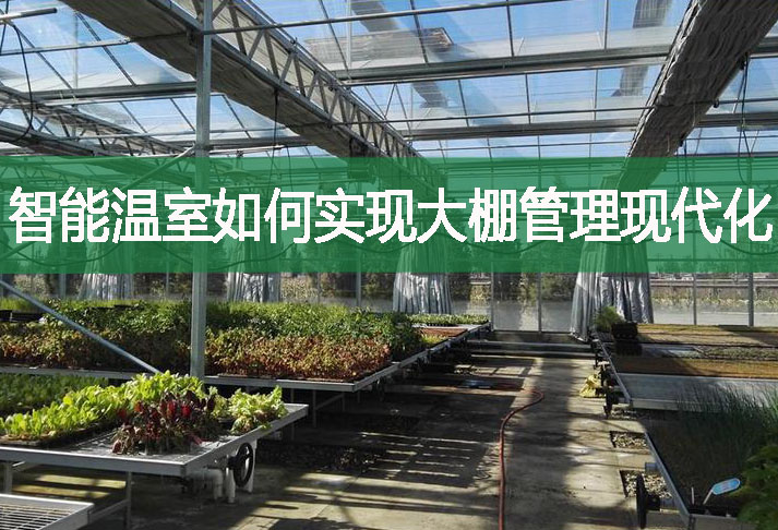 智能溫室如何實現大棚管理現代化