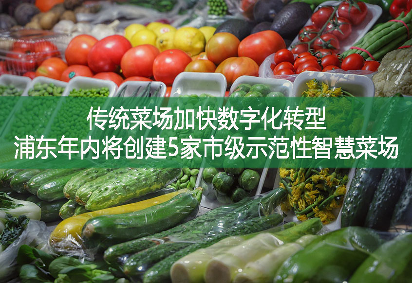 傳統(tǒng)菜場加快數(shù)字化轉(zhuǎn)型 浦東年內(nèi)將創(chuàng)建5家市級示范性智慧菜場