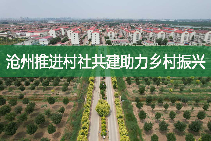 滄州推進村社共建助力鄉村振興