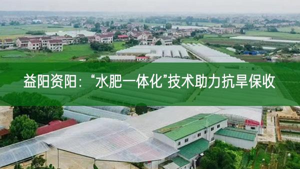 益陽資陽:“水肥一體化”技術(shù)助力抗旱保收