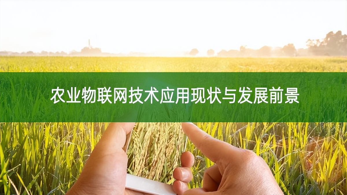 農(nóng)業(yè)物聯(lián)網(wǎng)技術(shù)應(yīng)用現(xiàn)狀與發(fā)展前景