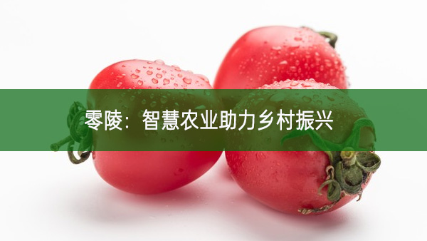 零陵:智慧農業助力鄉村振興