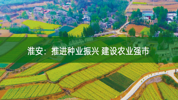 淮安:推進種業振興 建設農業強市