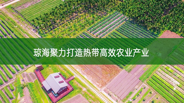 瓊海聚力打造熱帶高效農業產業