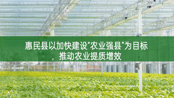 惠民縣以加快建設“農業(yè)強縣”為目標，推動農業(yè)提質增效