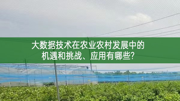 大數據技術在農業農村發展中的機遇和挑戰、應用有哪些?