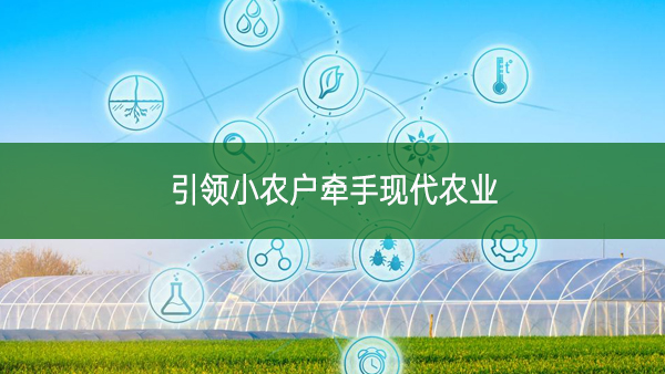 引領(lǐng)小農(nóng)戶牽手現(xiàn)代農(nóng)業(yè)