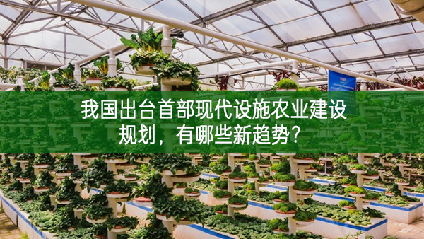 我國出臺首部現(xiàn)代設(shè)施農(nóng)業(yè)建設(shè)規(guī)劃，有哪些新趨勢？