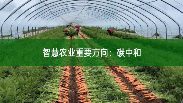 智慧農業重要方向:碳中和