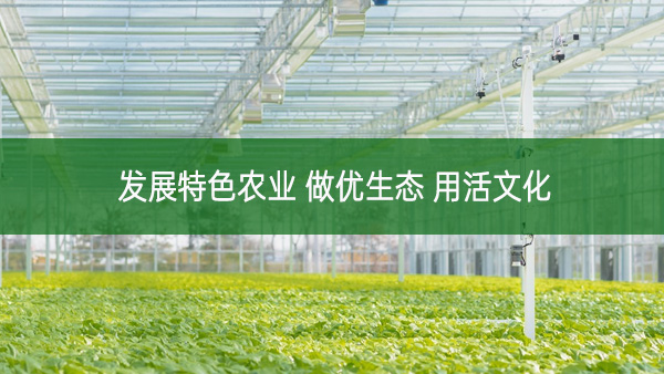 發(fā)展特色農(nóng)業(yè) 做優(yōu)生態(tài) 用活文化