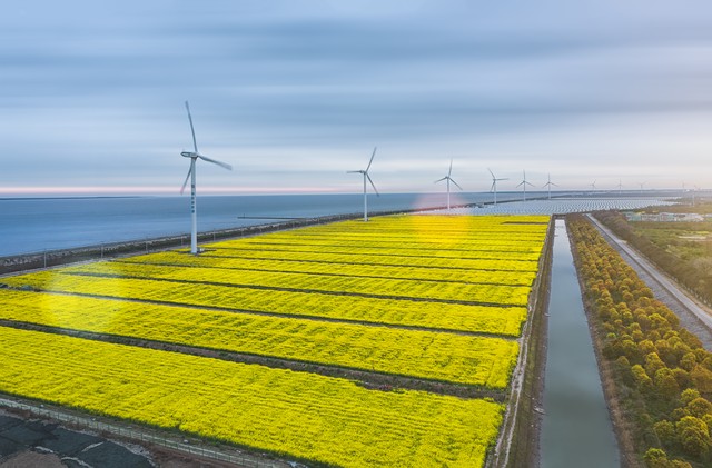 安徽桐城：休閑農(nóng)業(yè)與鄉(xiāng)村旅游提檔升級(jí)