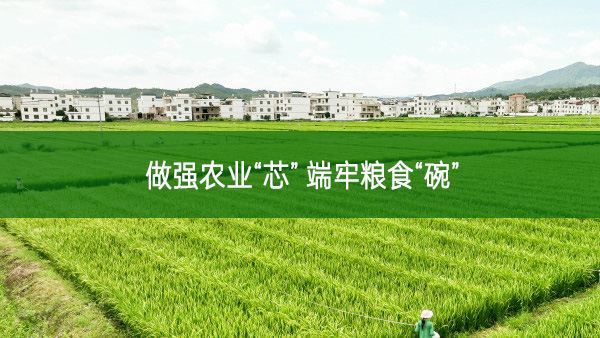做強(qiáng)農(nóng)業(yè)“芯” 端牢糧食“碗”