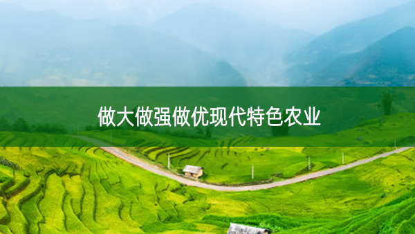 做大做強做優現代特色農業