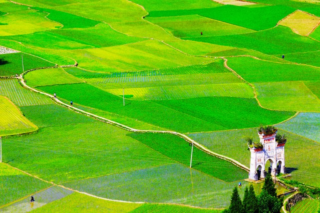 廣州花都赤坭鎮(zhèn)：大力發(fā)展都市現(xiàn)代農(nóng)業(yè)，繪就鄉(xiāng)村振興“實(shí)景圖”