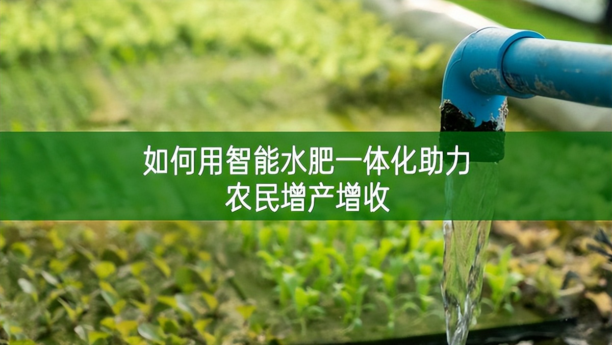 如何用智能水肥一體化助力農(nóng)民增產(chǎn)增收