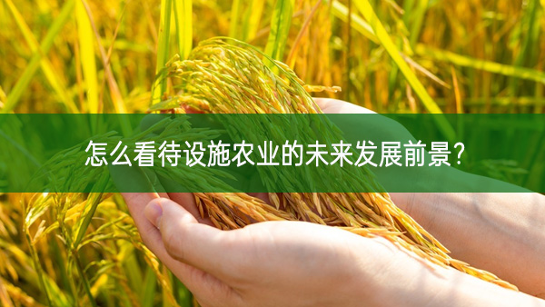怎么看待設(shè)施農(nóng)業(yè)的未來發(fā)展前景?