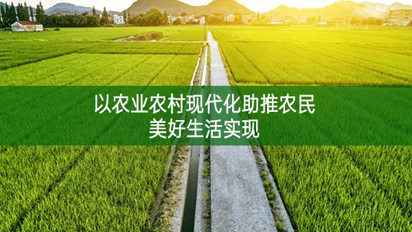 以農業農村現代化助推農民美好生活實現