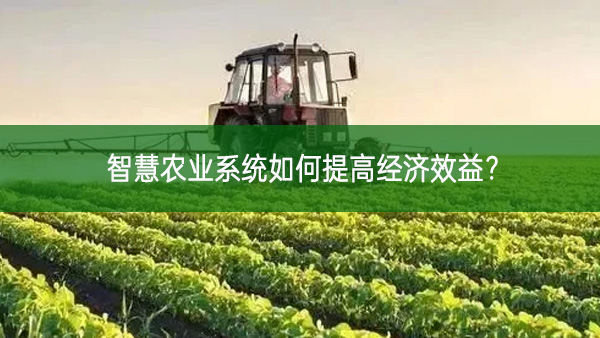 智慧農(nóng)業(yè)系統(tǒng)如何提高經(jīng)濟(jì)效益？