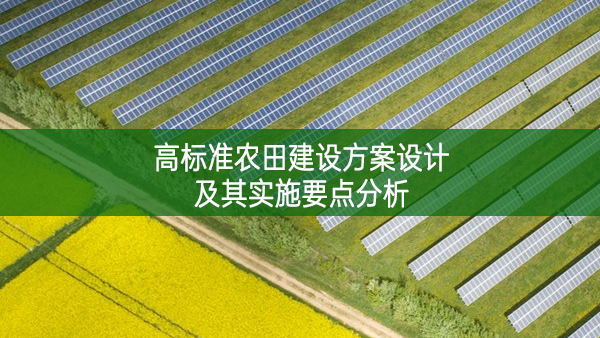 高標準農田建設方案設計及其實施要點分析