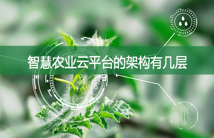 智慧農業云平臺的架構有幾層