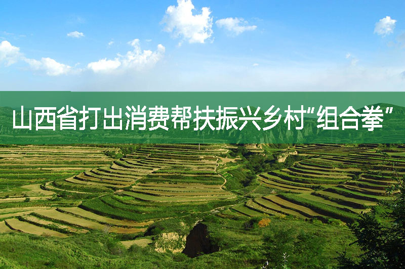 山西省打出消費幫扶振興鄉村“組合拳”