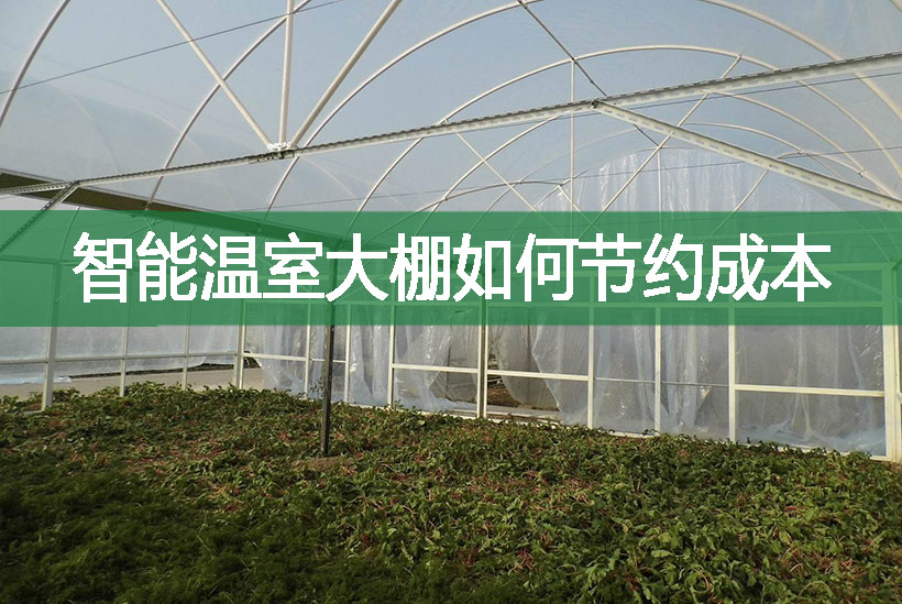 智能溫室大棚如何節約成本