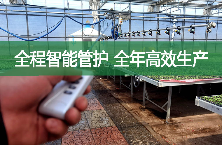 全程智能管護 全年高效生產