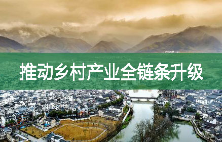 推動(dòng)鄉(xiāng)村產(chǎn)業(yè)全鏈條升級(jí)