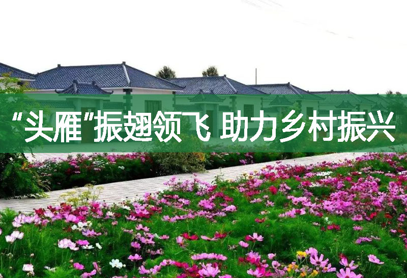 數(shù)字農(nóng)機(jī)調(diào)度平臺(tái)為秋收添動(dòng)力