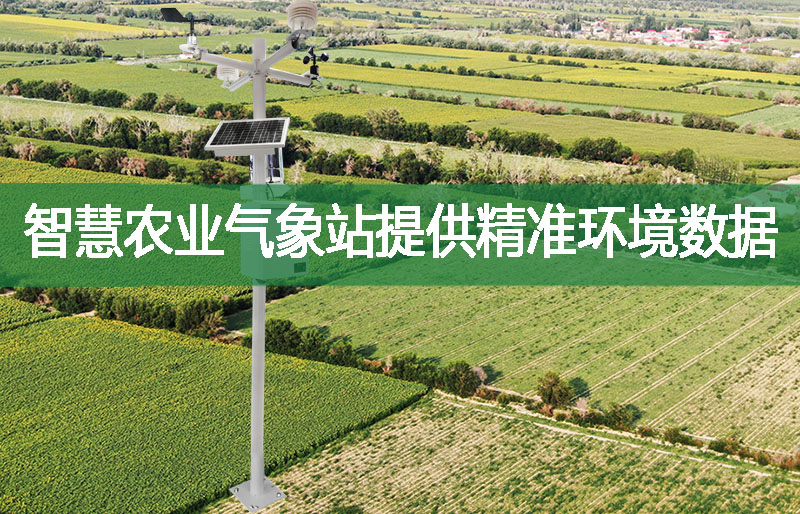 智慧農(nóng)業(yè)氣象站提供精準環(huán)境數(shù)據(jù)