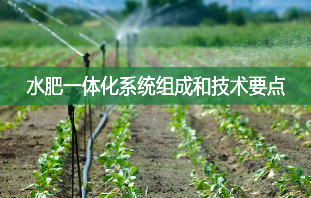 水肥一體化系統(tǒng)組成和技術(shù)要點(diǎn)