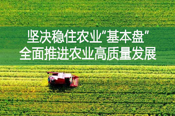 堅決穩(wěn)住農業(yè)“基本盤” 全面推進農業(yè)高質量發(fā)展