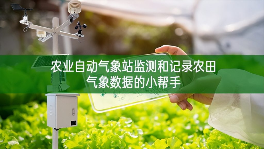 農(nóng)業(yè)自動(dòng)氣象站監(jiān)測(cè)和記錄農(nóng)田氣象數(shù)據(jù)的小幫手