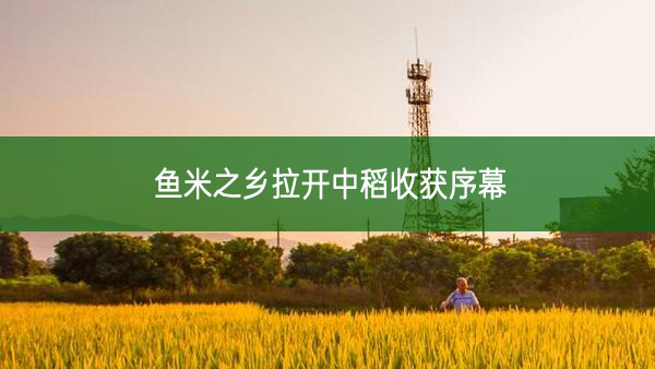 魚米之鄉拉開中稻收獲序幕