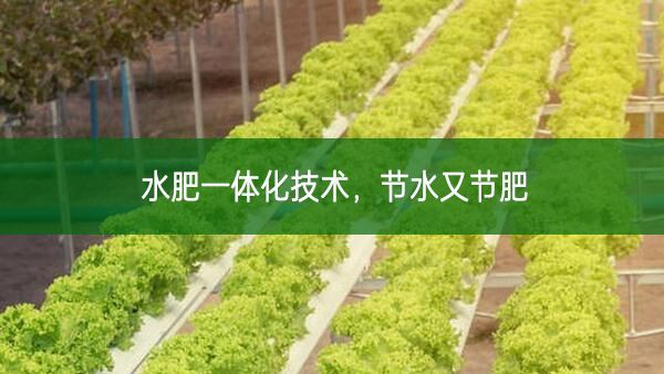 水肥一體化技術,節水又節肥