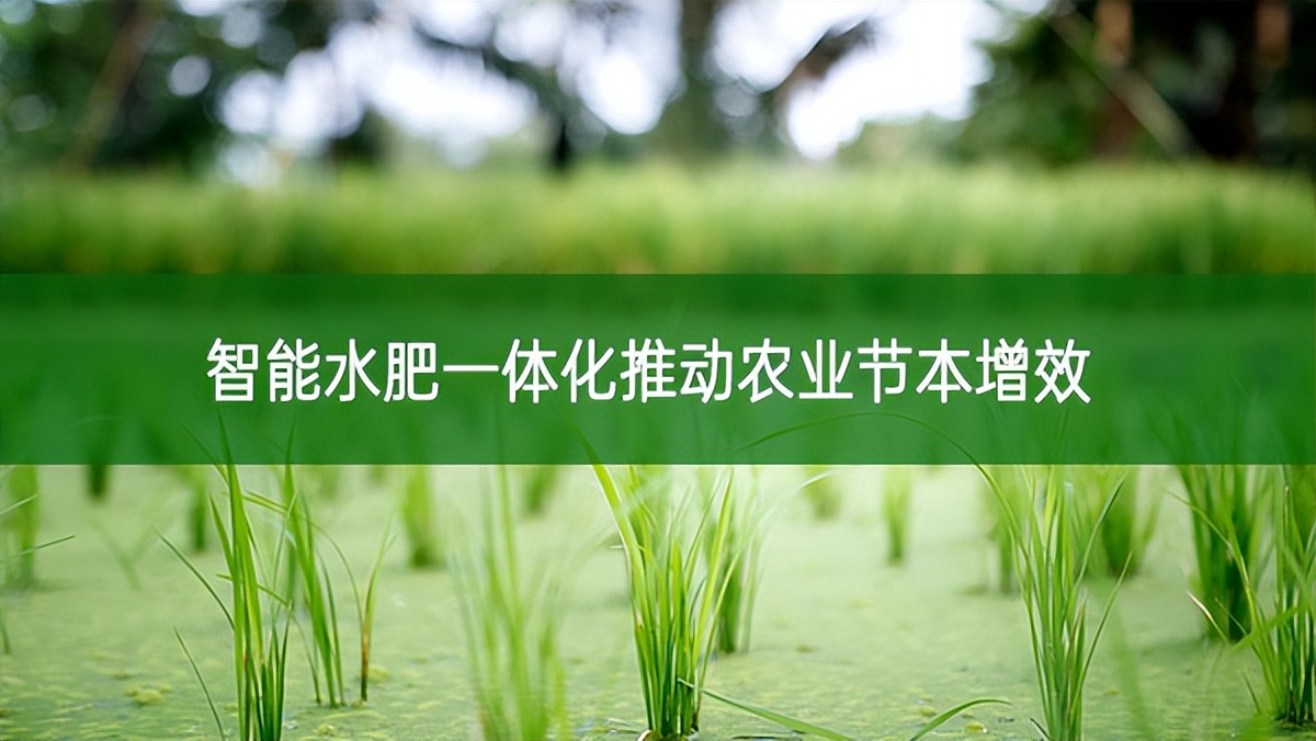 智能水肥一體化推動(dòng)農(nóng)業(yè)節(jié)本增效