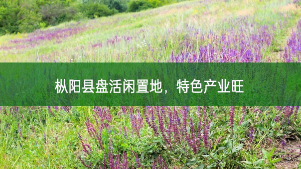 樅陽縣盤活閑置地,特色產業旺