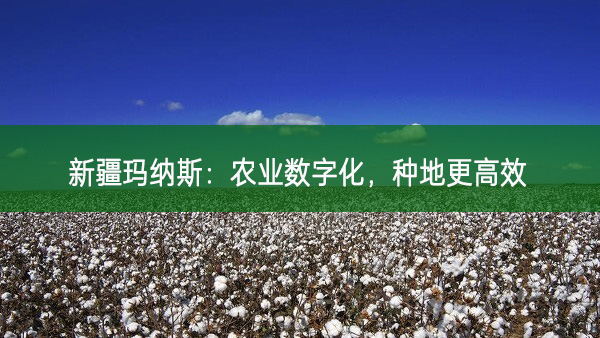 新疆瑪納斯:農(nóng)業(yè)數(shù)字化,種地更高效